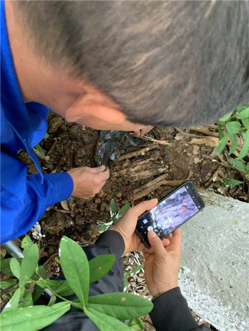 南宁白蚁防治14