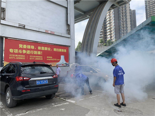 南宁白蚁防治哪家实惠