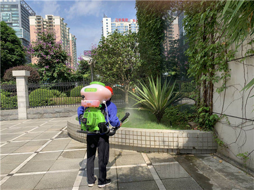 南宁市白蚁防治