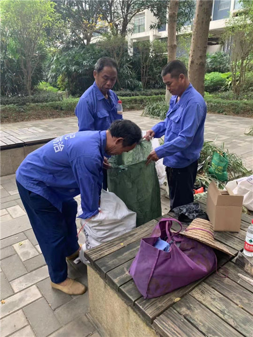 南宁市小区白蚁防治
