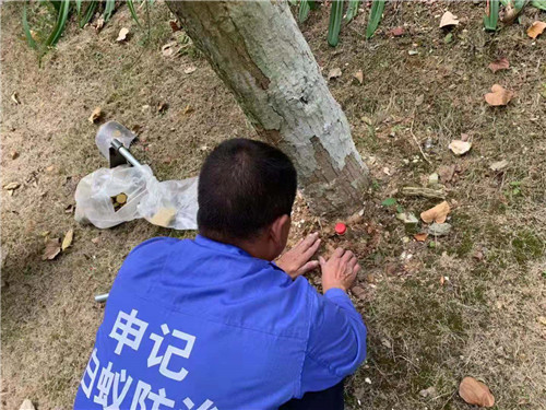 南宁白蚁防治工程