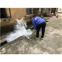 南宁专业白蚁防治-申记白蚁防治