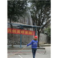南宁白蚁防治公司-南宁申记白蚁防治