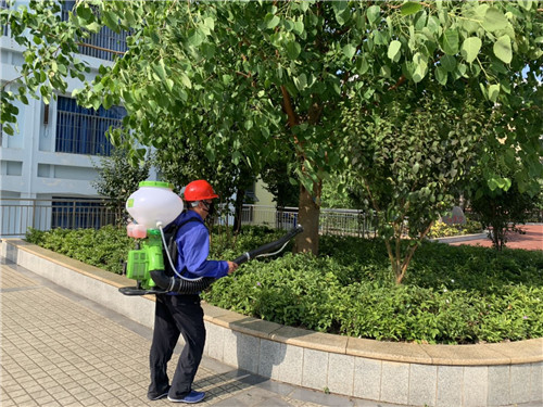 南宁白蚁防治施工