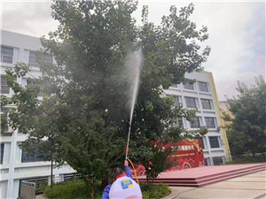 南宁灭蟑螂
