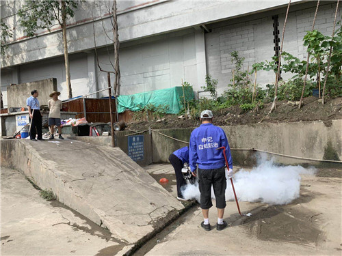 南宁白蚁防治|南宁药除白蚁