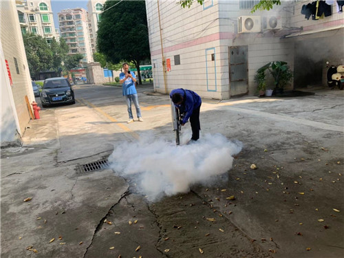 南宁市白蚁防治厂家 
