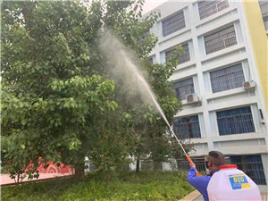 南宁灭苍蝇公司
