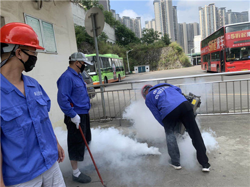 南宁白蚁防治价格