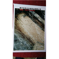 南宁白蚁防治除虫#南宁申记白蚁防治
