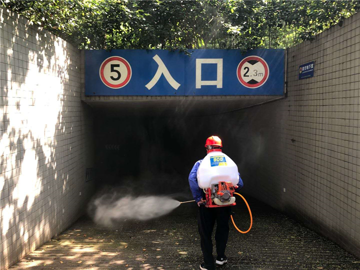 南宁白蚁防治