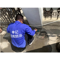 南宁白蚁上门灭治防治