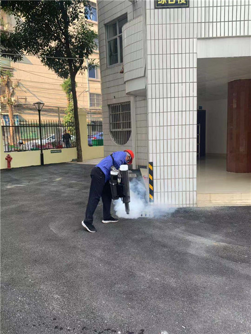 南宁白蚁防治30