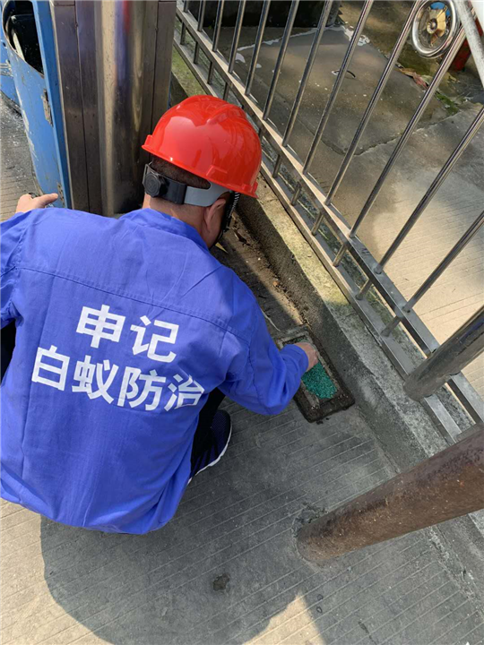 南宁杀白蚁-南宁申记白蚁防治