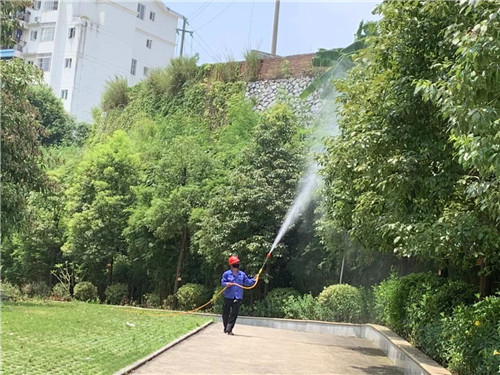 南宁白蚁防治公司