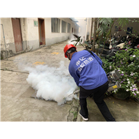 南宁灭四害|南宁申记白蚁防治
