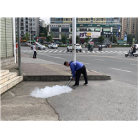 南宁灭老鼠公司
