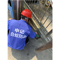 南宁杀白蚁-南宁申记白蚁防治