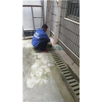 南宁白蚁防治价格