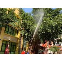 南宁白蚁防治5