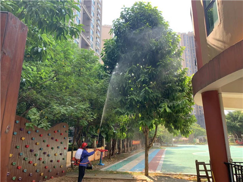 南宁白蚁防治3