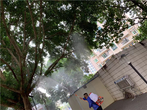 南宁白蚁防治公司