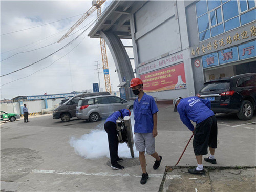 南宁白蚁防治哪家效果好