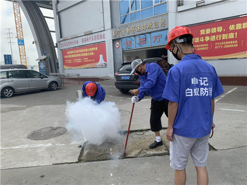 南宁白蚁防治哪家价格低