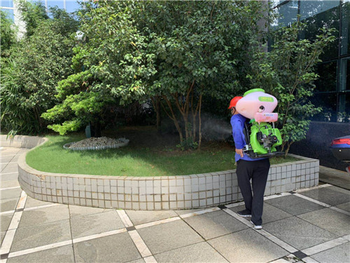 南宁白蚁防治单位