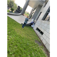 南宁白蚁防治电话、南宁白蚁防治