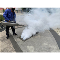 南宁白蚁防治 