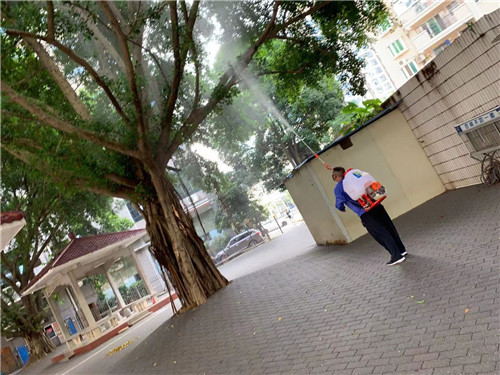 南宁白蚁防治电话