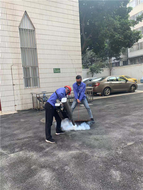 南宁白蚁防治29
