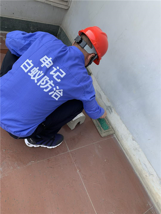 南宁灭白蚁-南宁申记白蚁防治