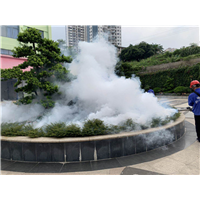 南宁白蚁灭治|南宁白蚁防治 
