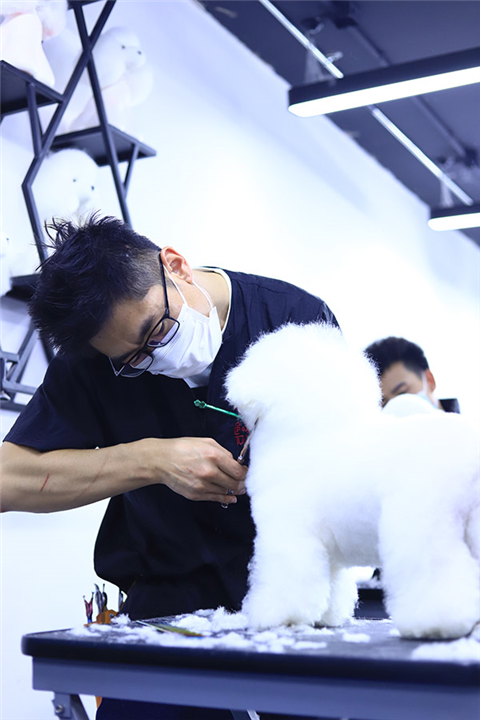 长春途嗳宠物美容环境