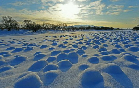湿地公园雪景