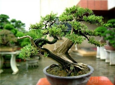 深圳易经命理风水培训大师黄天雄 