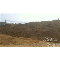 宁波水泥批发┃宁波红砖批发