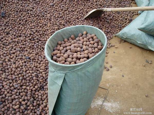 宁波陶粒┃宁波黄沙水泥批发