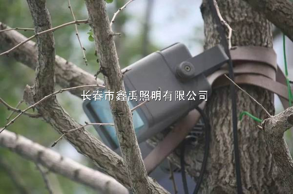 长春路灯价格#吉林省太阳能路灯厂家