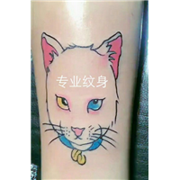 安溪纹身