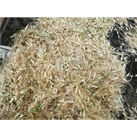 山东曹县鲜麦冬销售电话|曹县鲜麦冬价格 