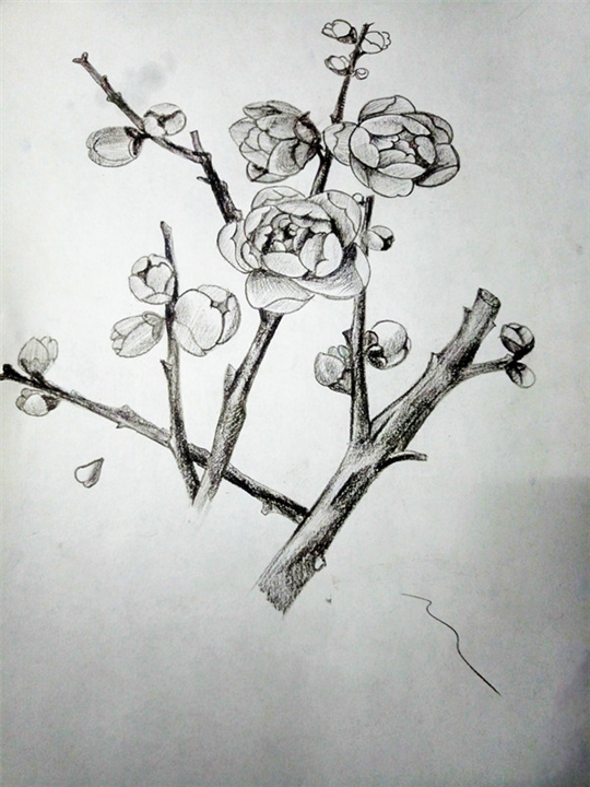 纹身手绘图片（4）