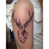 柳州纹身多少钱 