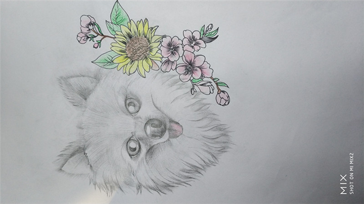 纹身手绘图片（22）