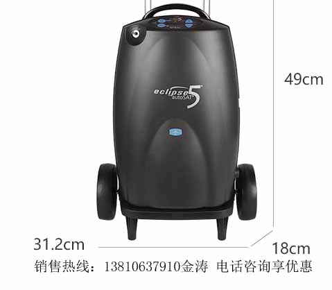 eQuinox便携式进口车载9升医用吸氧机