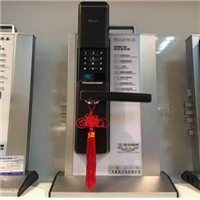 天府新区专业安装指纹锁电话18584194298 