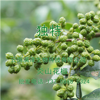 云南花椒种植基地|云南花椒联系方式 