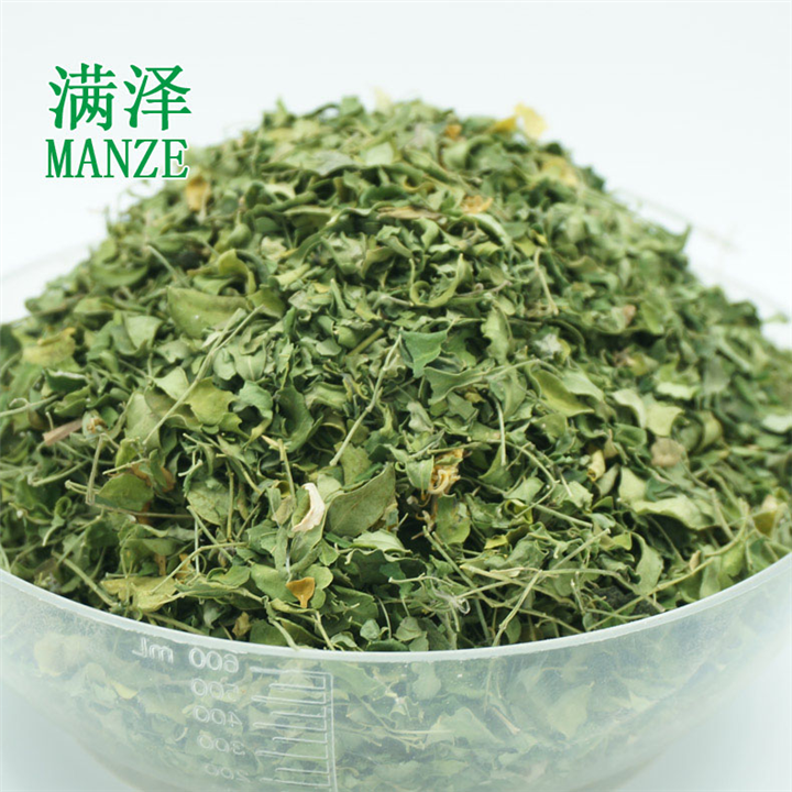 云南满泽辣木叶，辣木鲜叶晒干，辣木干叶子 